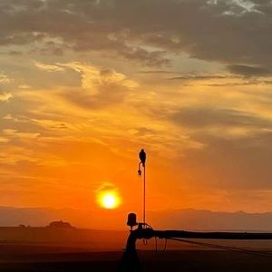 Meet your Posher, Tony